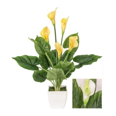 CHI 30276 PIANTA CALLA